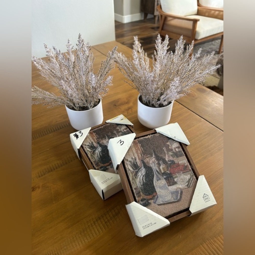NWT Threshold Decorative Vintage-Inspired Still Life Canvas (2) and Faux Plants